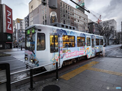 ミク、今シーズンも可愛いね