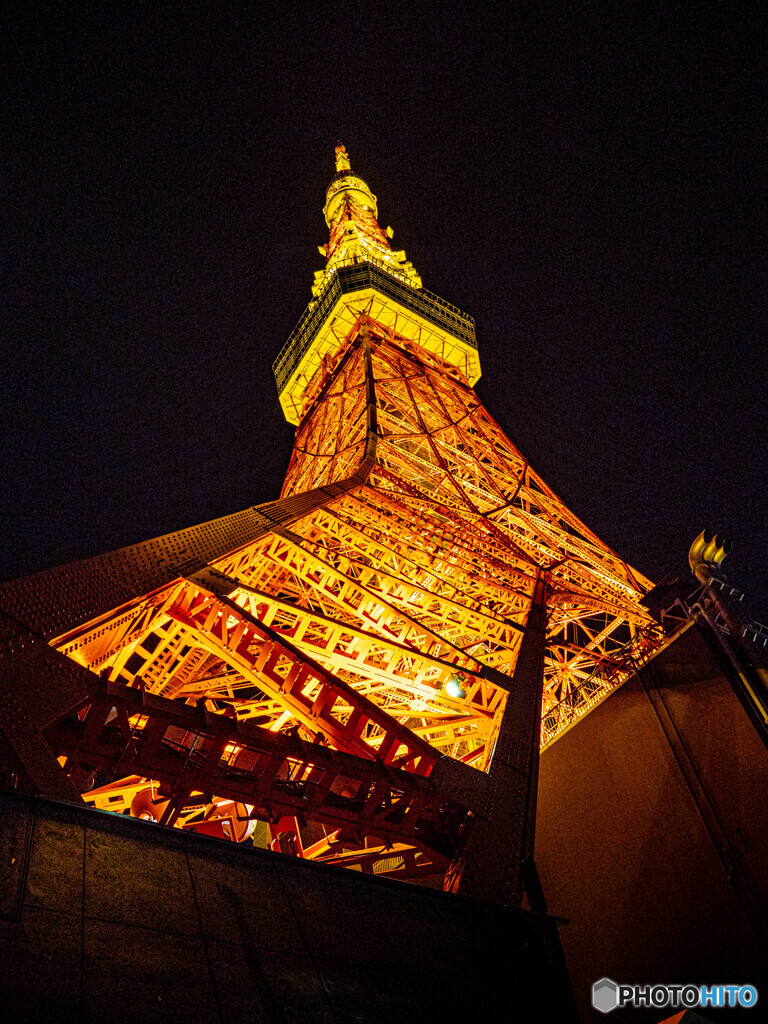 橙色の灯火