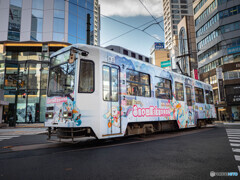 ミク、今シーズンも綺麗だね