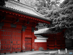 赤の存在感