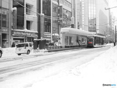 雪の中のポラリス