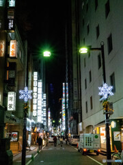 銀座の雪