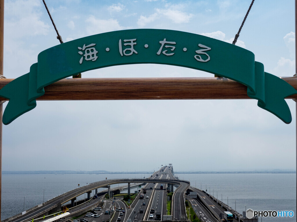 遥かな海の先へ