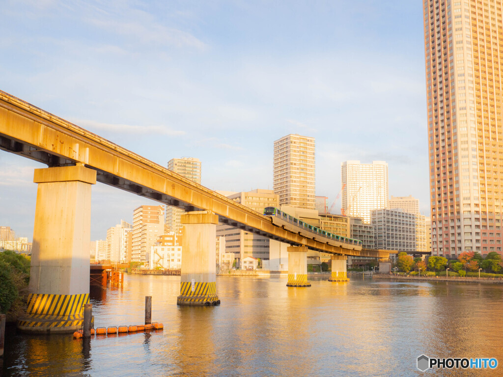 朝の光を浴びて