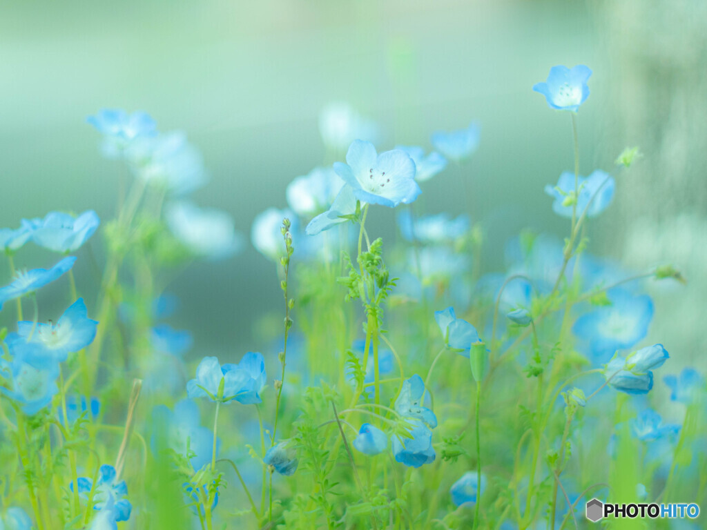 透明に近いブルー