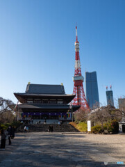 冬の晴天に東京タワーと増上寺
