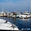午後のマリーナ
