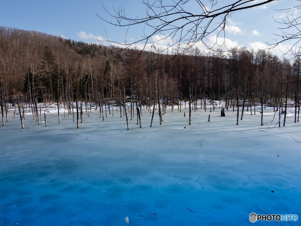 あまり青くなかった池