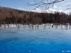 あまり青くなかった池