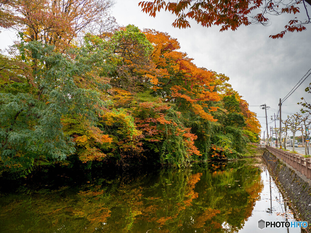 入口からそっと