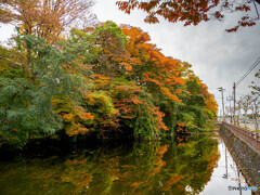 入口からそっと