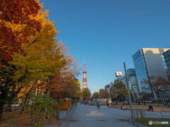 秋色大通公園