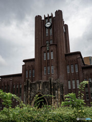 なんで、私が東大に!?