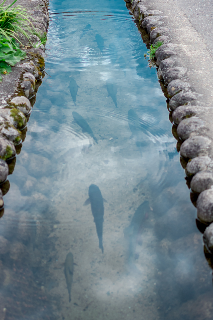 水鏡