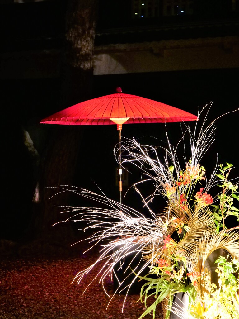 夜の花回廊①