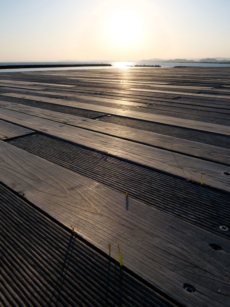 a twilight in early spring