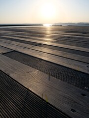 a twilight in early spring