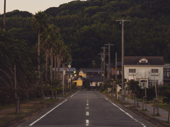 ヤシと電柱、夕日と白線