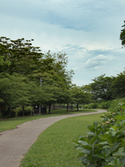 続く道