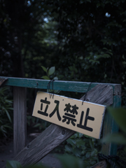 その先