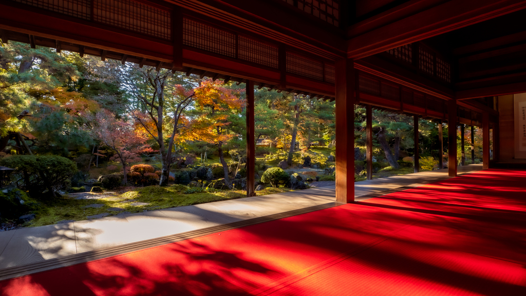朝日差し込む大広間