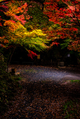 中野邸記念館・3