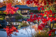 早朝の庭園風景