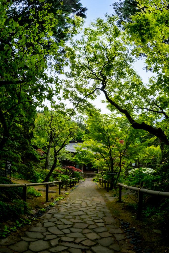 玉川寺・２