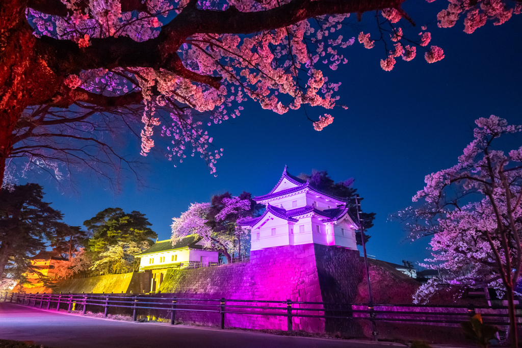 新発田城址公園・夜桜２