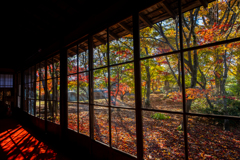ガラスの向こうの紅葉