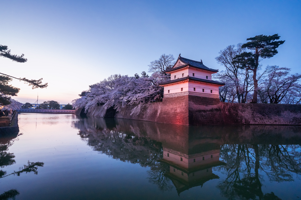新発田城址公園・桜