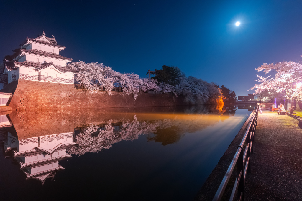 新発田城址公園・夜桜