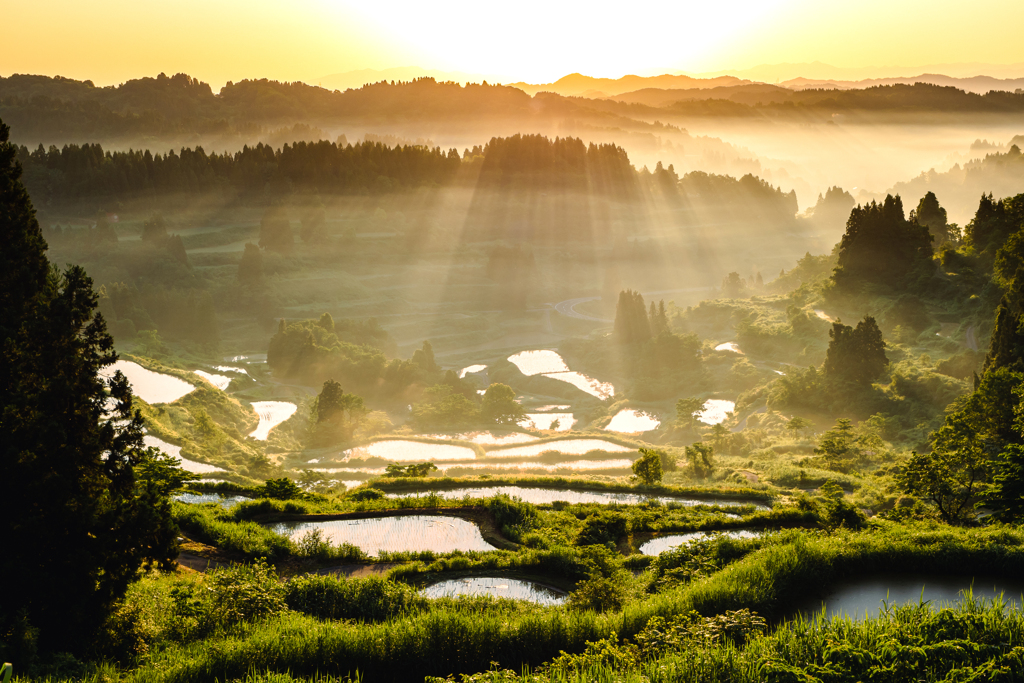 星峠の棚田・５