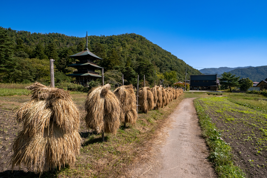 三重塔と田舎風景