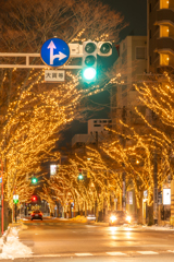 けやき通りのイルミネーション