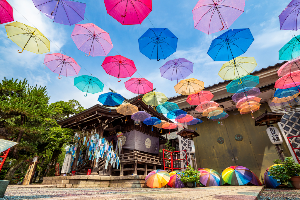 空を彩る