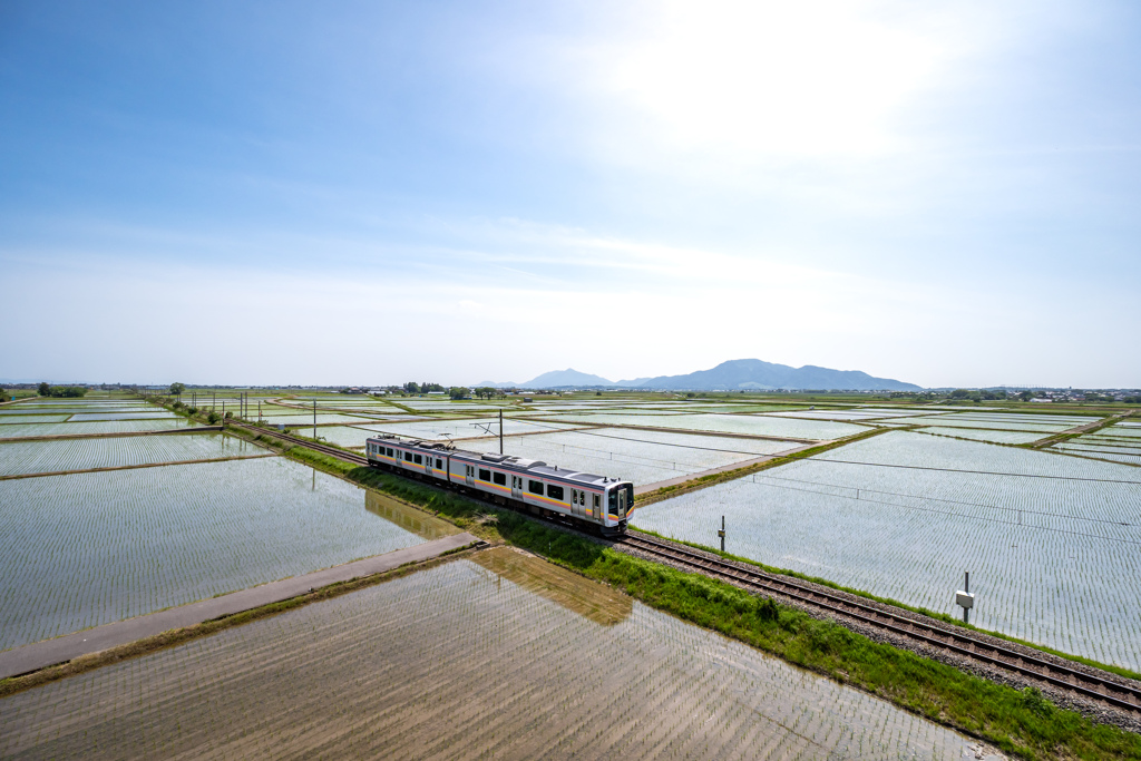 越後平野の田園風景