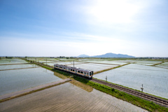 越後平野の田園風景