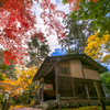 紅葉と庭園・３