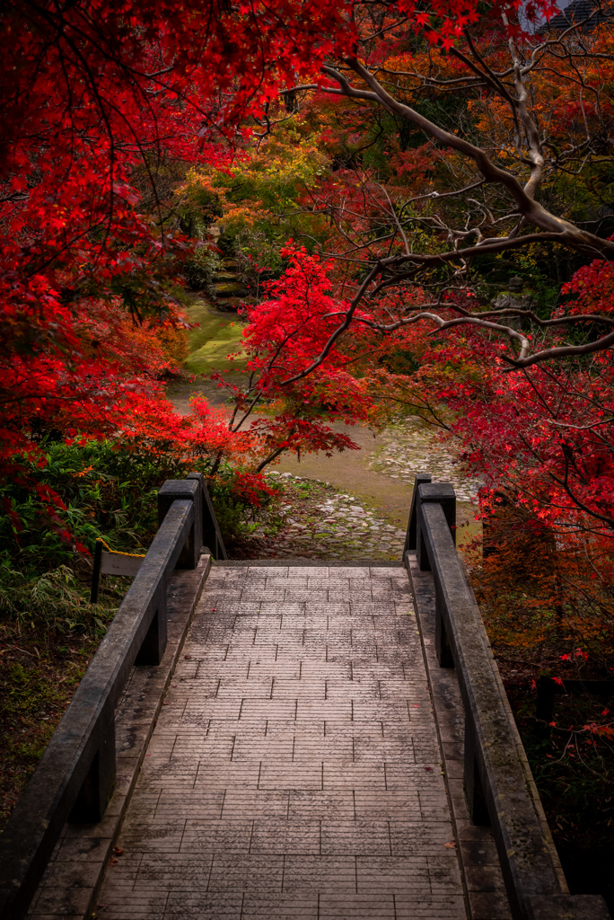 石橋と紅葉
