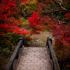石橋と紅葉