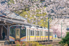 桜と電車