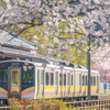 桜と電車