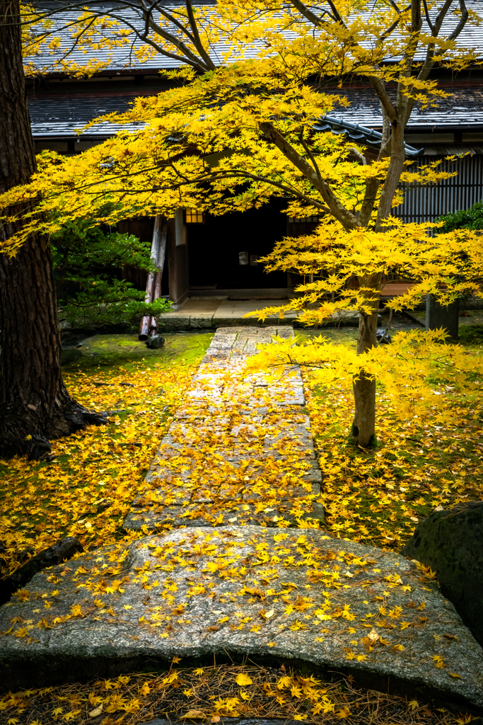紅葉と庭園・４