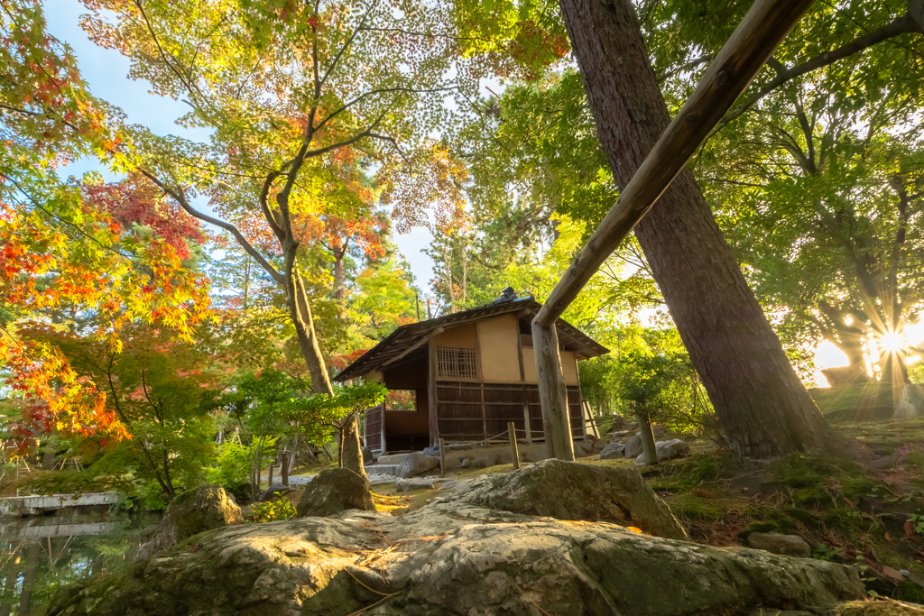 西日差す庭園