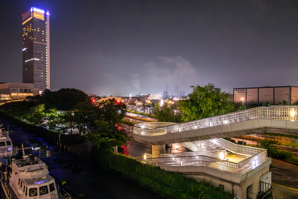 万代島の夜