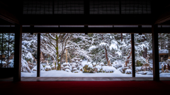 白い静寂と庭園