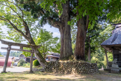 とある集落の神社