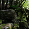 みずのながれるけしき
