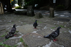 さんわ